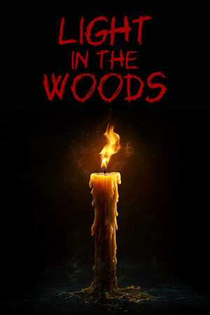Light in the woods cover art