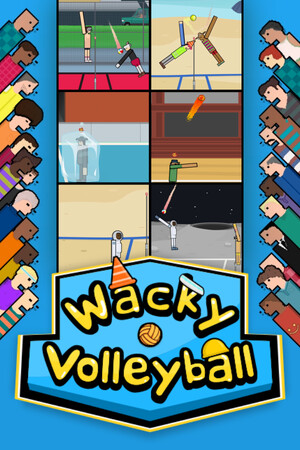 Wacky Volleyball cover art