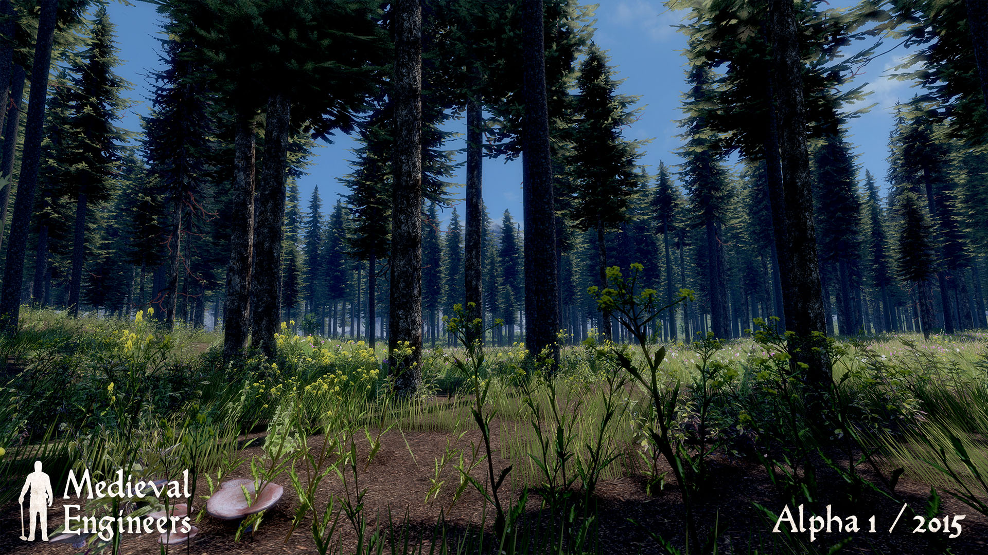 medieval engineers animals medieval engineers animals