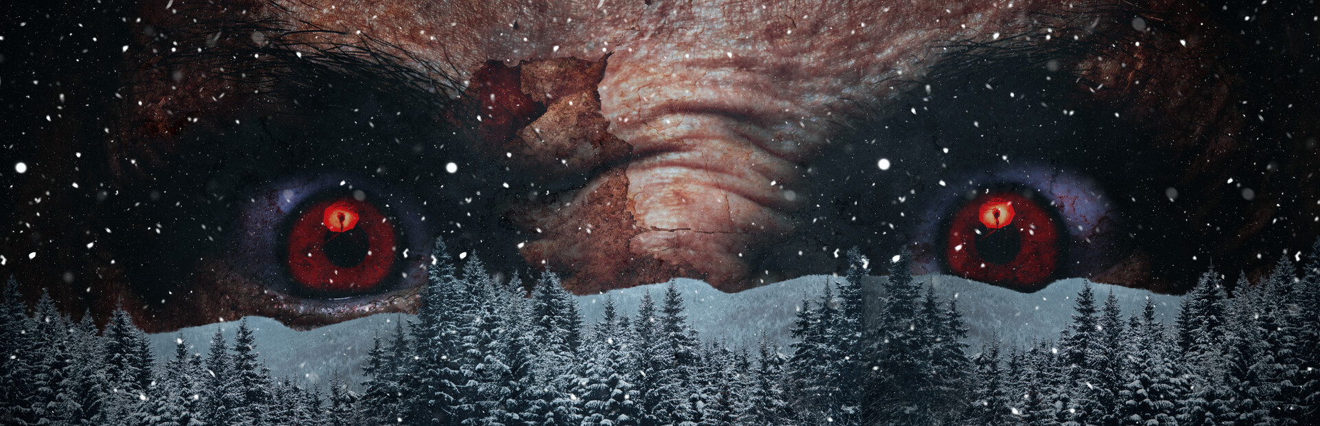 Thesilentsnowfall