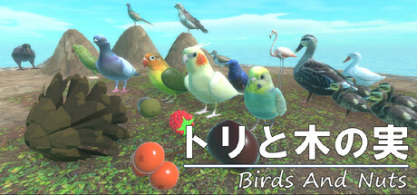 Birds and Nuts — cover art