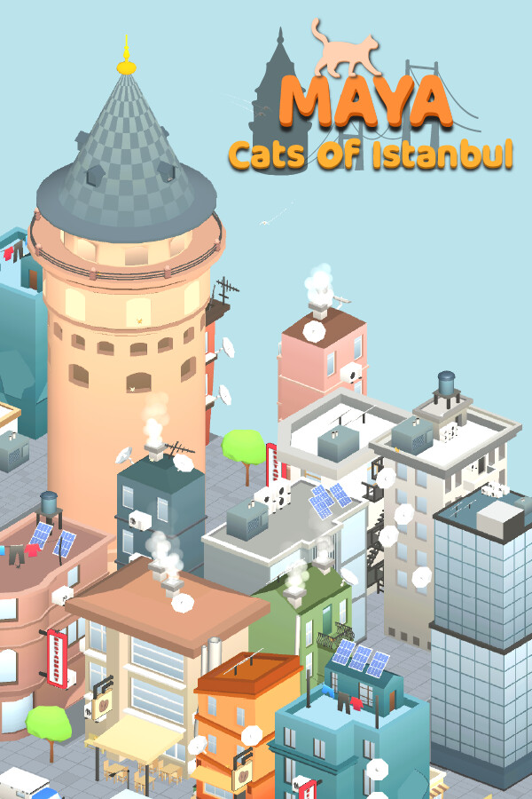 Maya: Cats of Istanbul