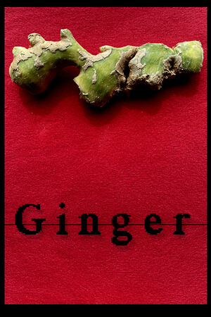 Ginger cover art