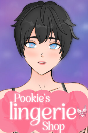 Pookie's Lingerie Shop cover art