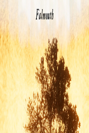 Falmouth cover art