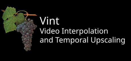 Vint: Realtime Video Interpolation and CRT Emulation header image