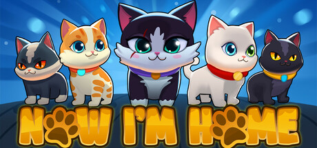 Cat Syndicate: Istanbul header image