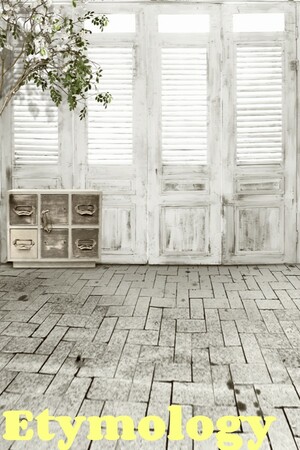 Etymology cover art