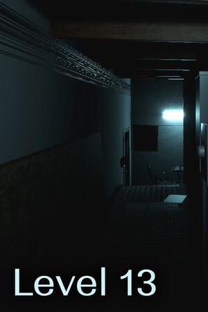 Level 13 cover art
