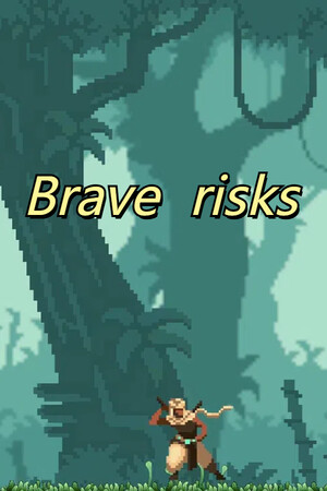 Brave  risks cover art