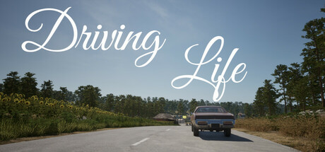 Driving Life
