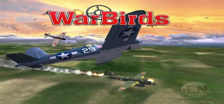 WarBirds - World War II Combat Aviation