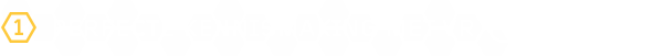 The Assembly thumbnail