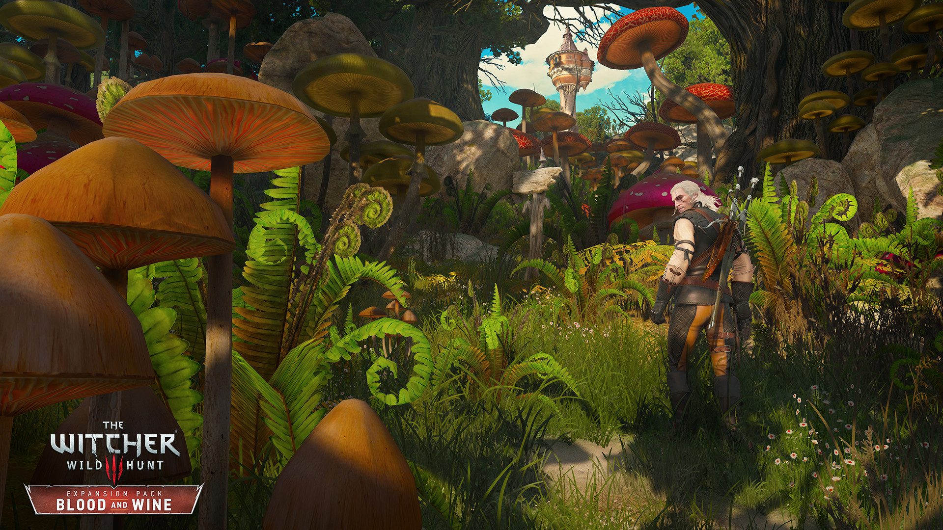 Steam The Witcher 3 Wild Hunt Blood And Wine
