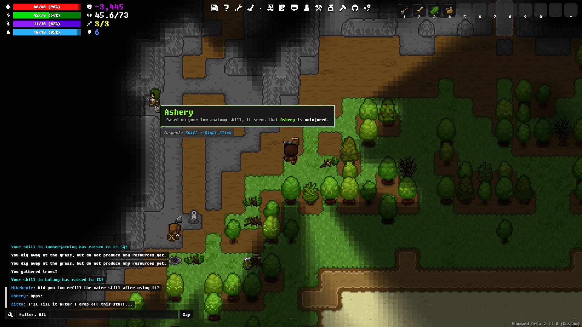 Steam Wayward