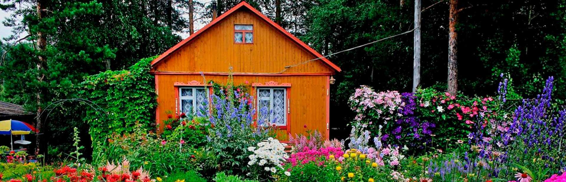Dacha
