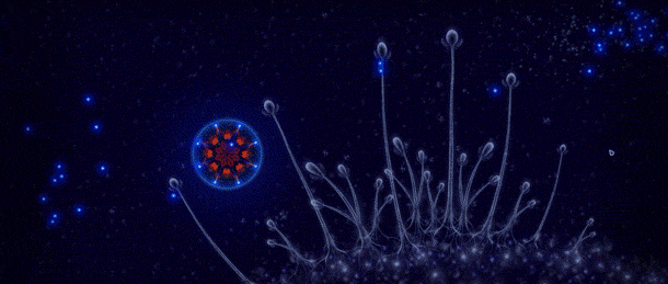 图片[25]-《细胞生存战(Microcosmum Survival of Cells)》20220512-单机游戏