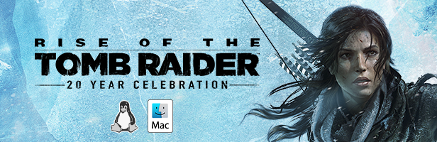 Comprar o Rise of the Tomb Raider