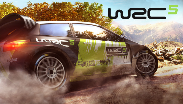 WRC 5 - WRC Concept Car S Steam capsule image