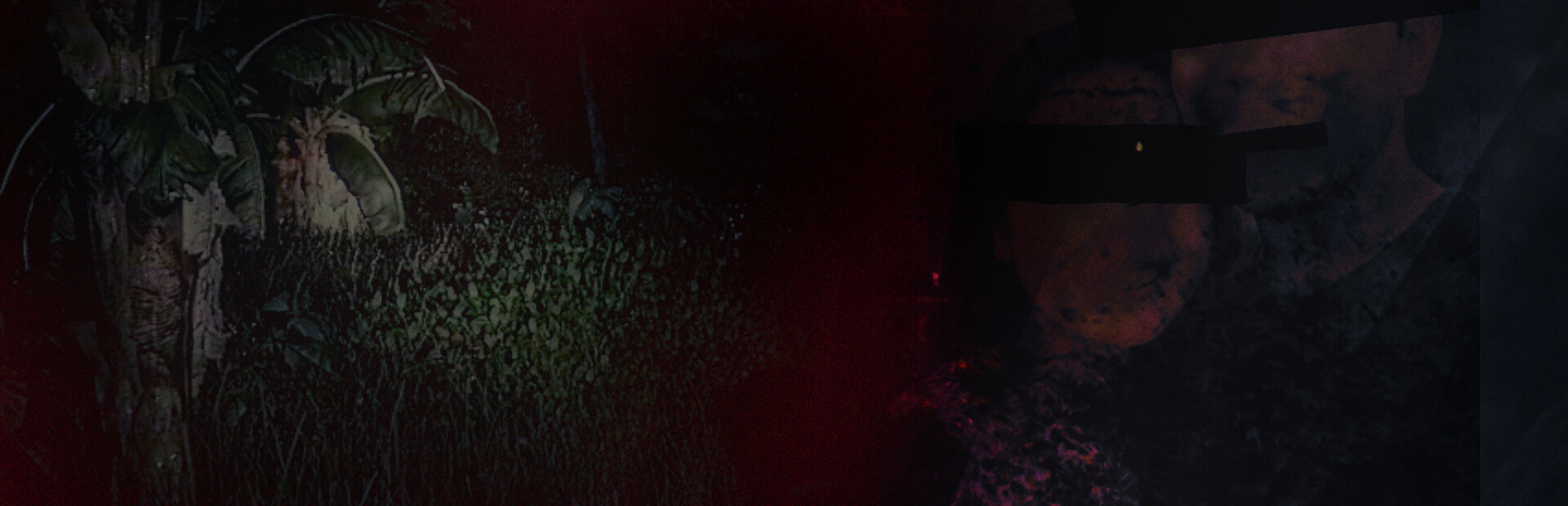 The Remains Of Dahlia