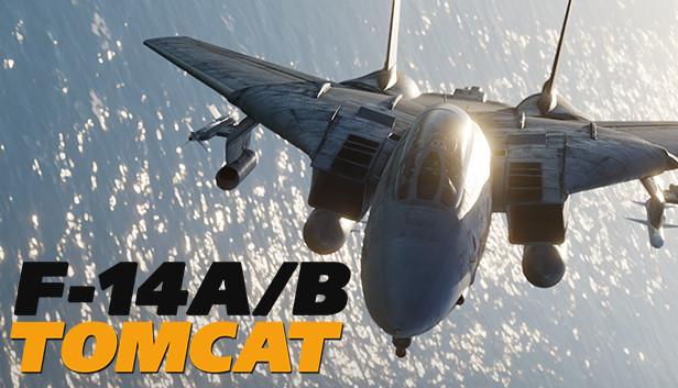 DCS: F-14A/B Tomcat by Heatblur Simulations Steam capsule image