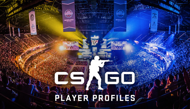 CS:GO Player Profiles Steam capsule image