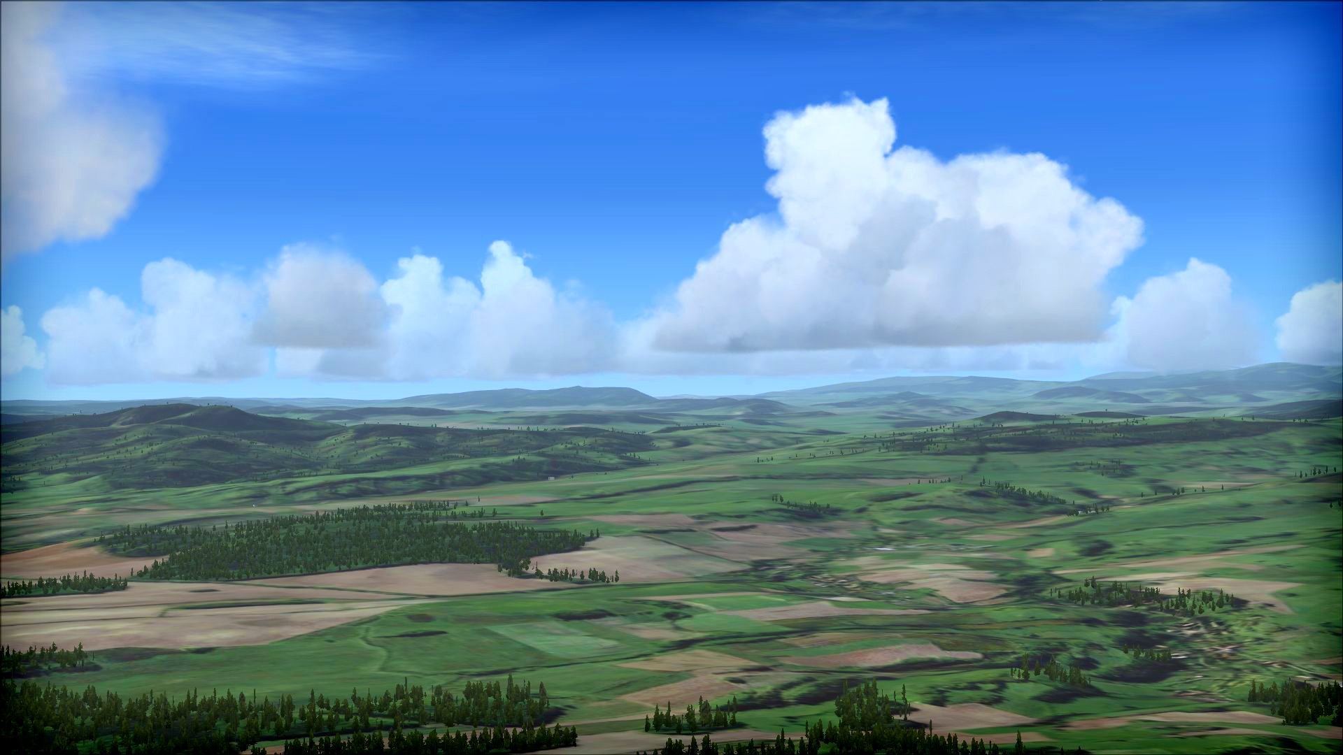 Poland visual data 2