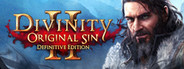 Divinity: Original Sin 2