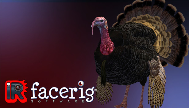 IRFaceRig Real Turkey Steam capsule image