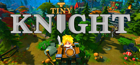 Tiny Knight Cover Image