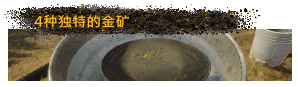 淘金热：The Game+中文版，直接玩