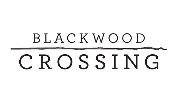 Blackwood Crossing Steam capsule image