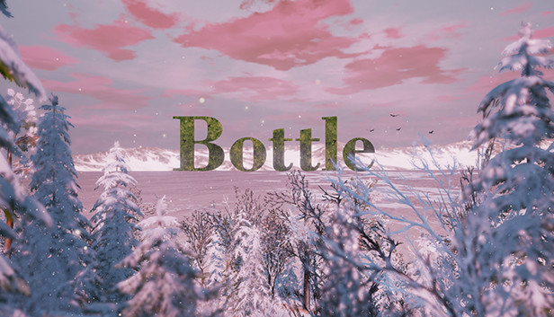 Bottle
