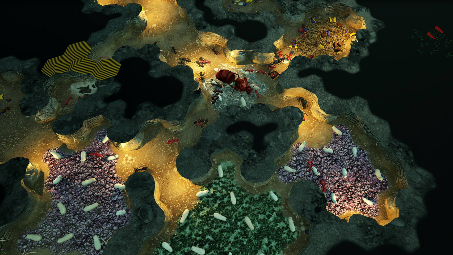 empires of the undergrowth game empires of the undergrowth game