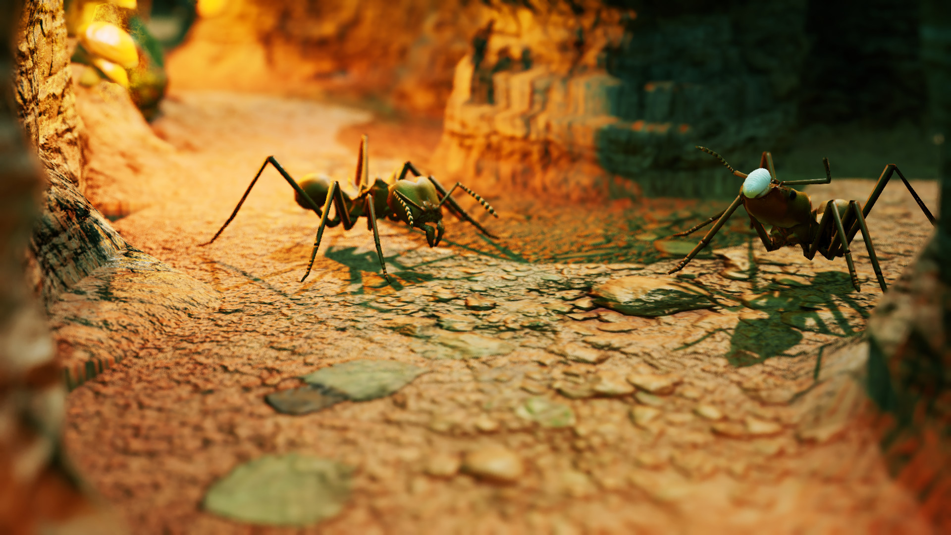 empires of the undergrowth turtle ants empires of the undergrowth turtle ants