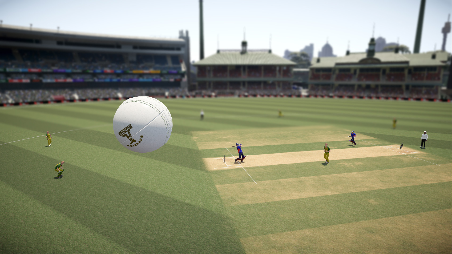 don bradman cricket 16 don bradman cricket 16