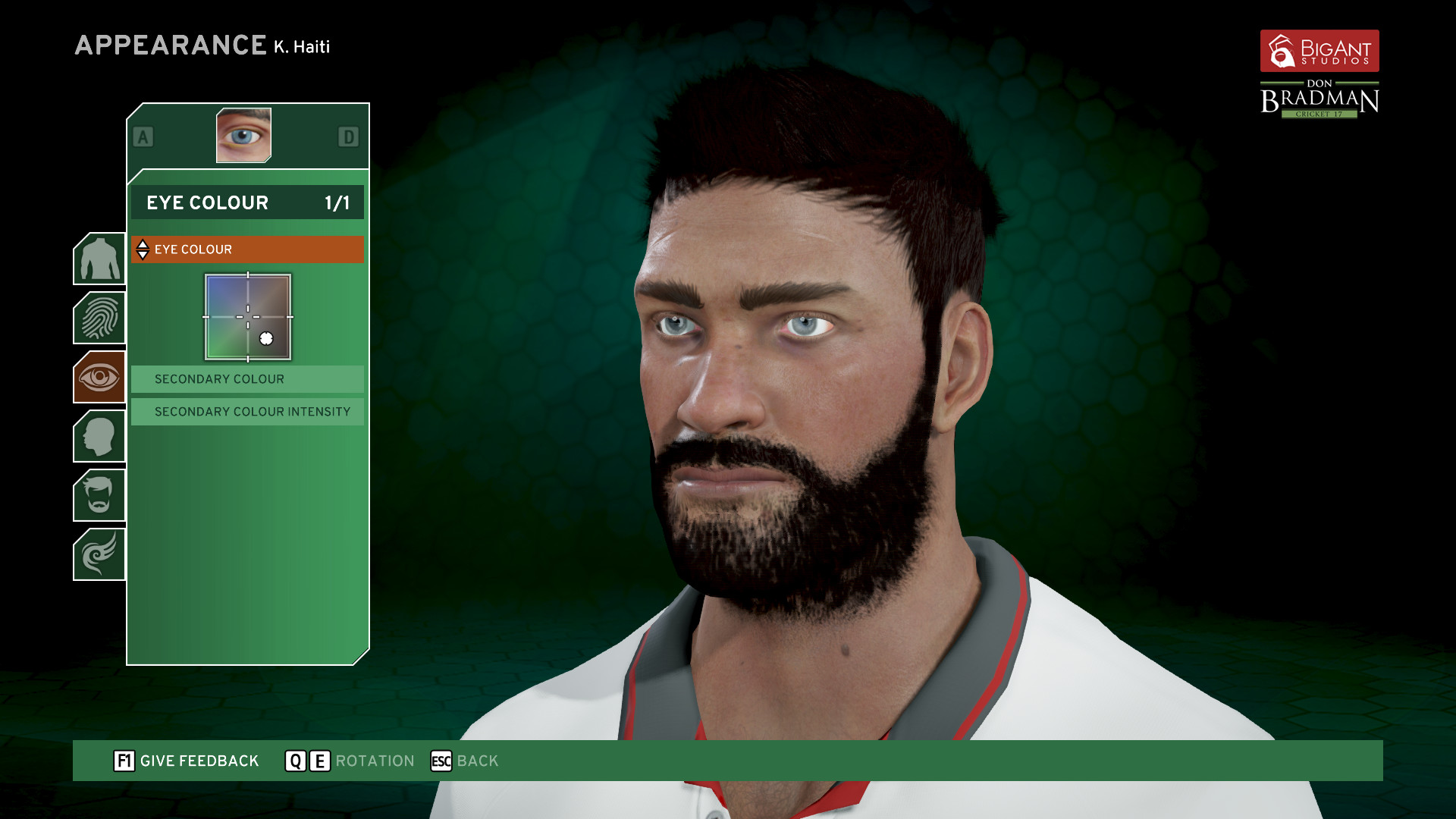 Don Bradman Cricket 17 Demo on Steam