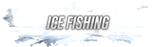 终极钓鱼模拟/Ultimate Fishing Simulator 02