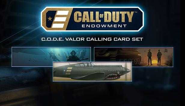 Call of Duty®: Black Ops III - C.O.D.E. Valor Calling Cards Steam capsule image