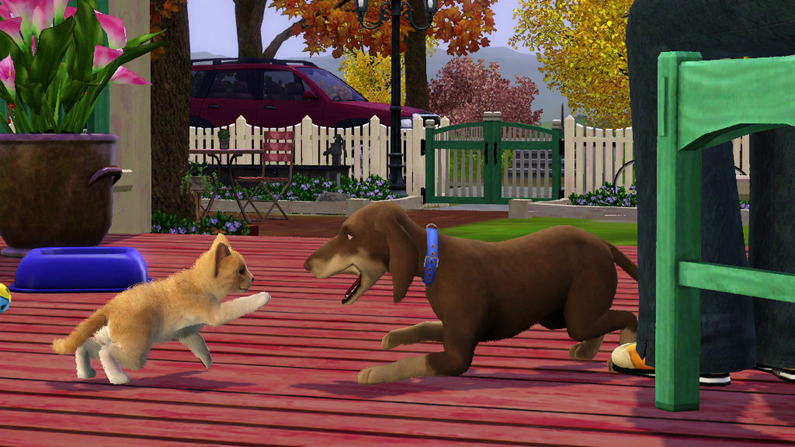 sims 3 cats and dogs