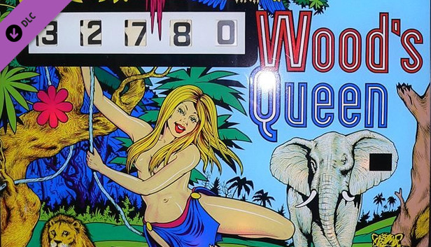 Zaccaria Pinball - Wood's Queen Table Steam capsule image