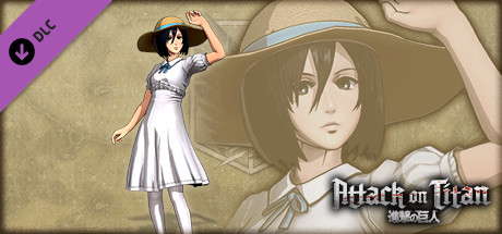 Attack on Titan - Mikasa Costume - Summer Festival header image