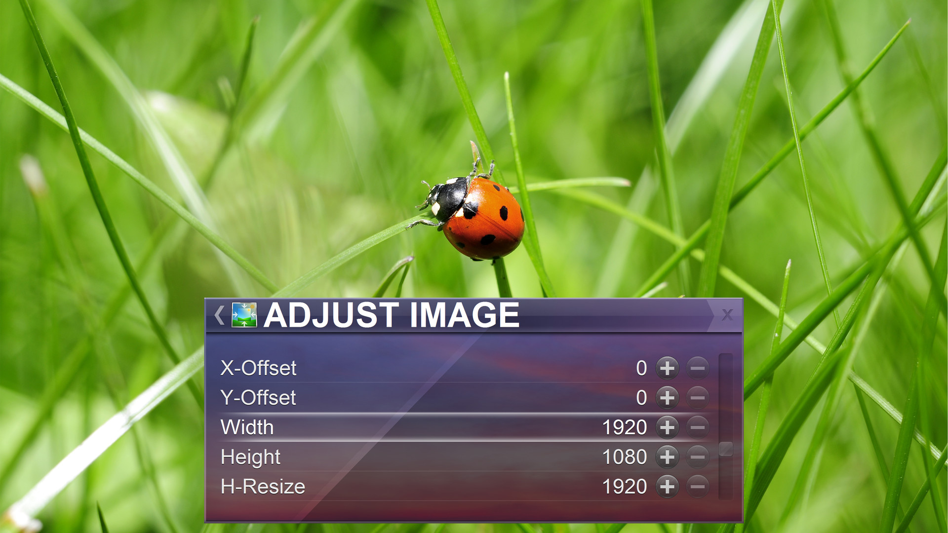 Zoom Player 4K fullscreen navigation skin on Steam