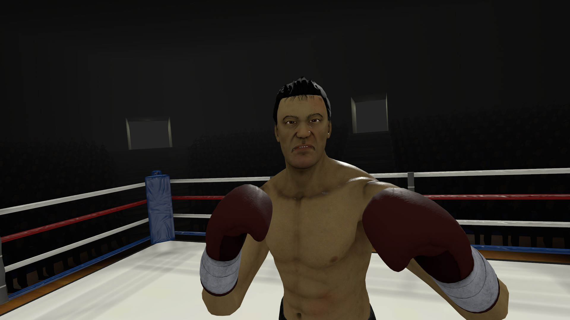 The Thrill of VR Boxing on Steam