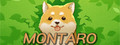 Montaro