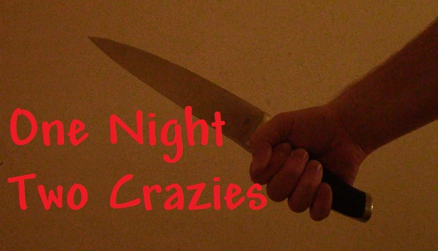 One Night Two Crazies Steam capsule image