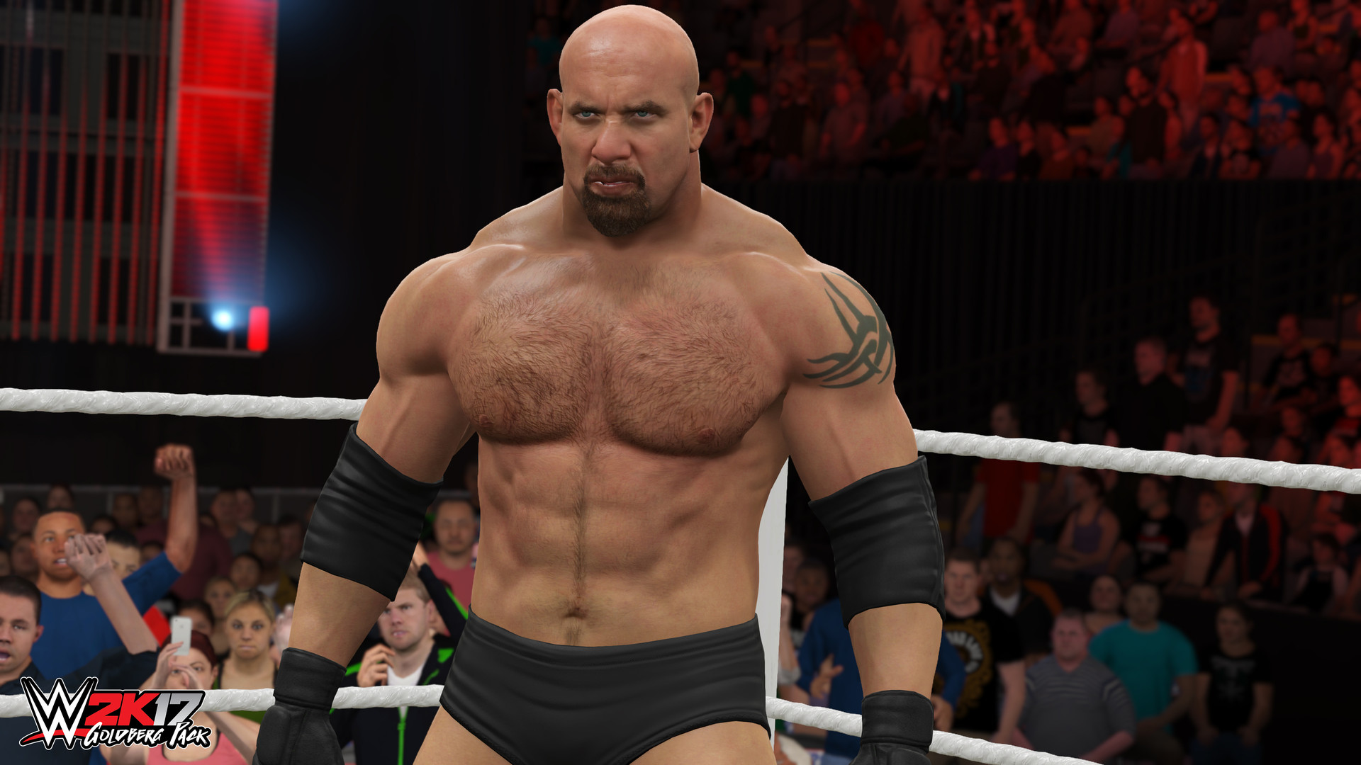 Steam Wwe 2k17