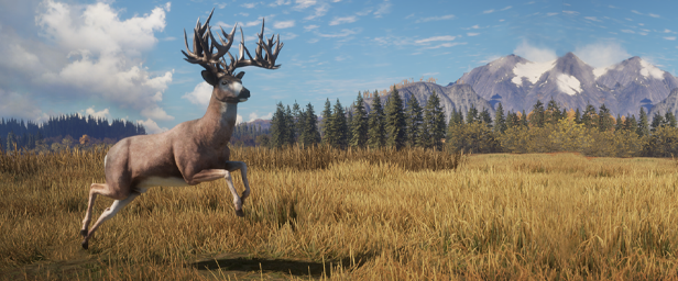 fossil Forberedelse knude Save 75% on theHunter: Call of the Wild™ on Steam