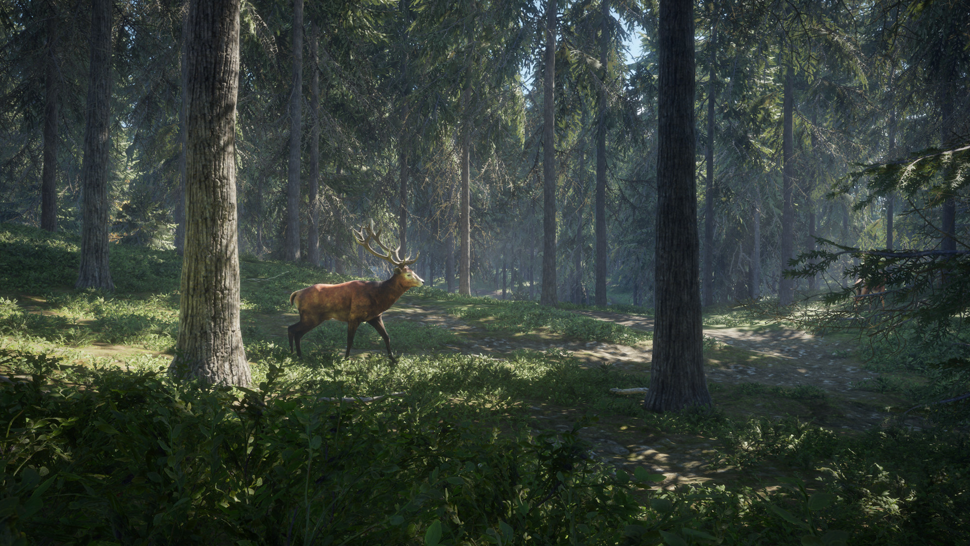 the hunter call of the wild gameplay