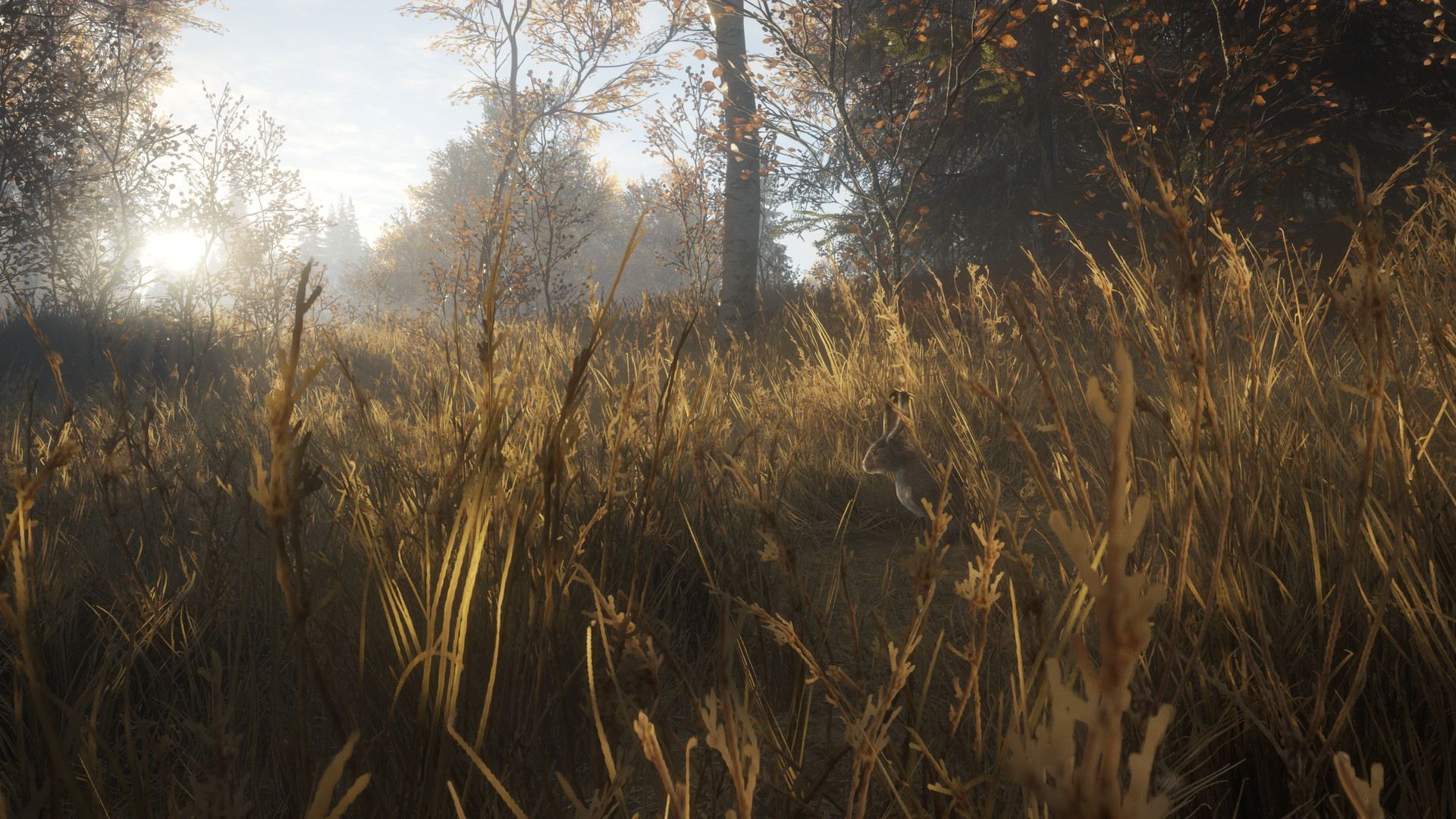 theHunter: Call of the Wild™ - Gold Bundle